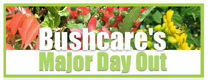 Bushcare's major day out