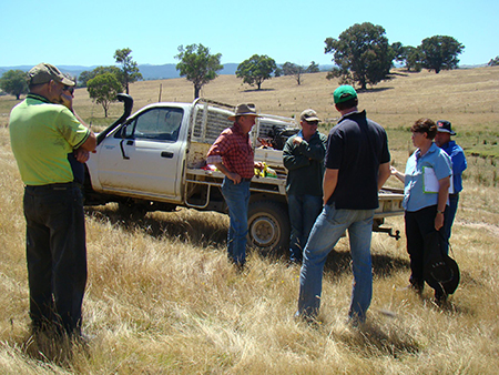 Integrated weed management field day