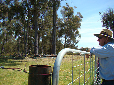 Laurie Sykes inspects weed trial site